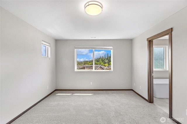 5167 Sophie St, Bremerton, WA 98312 - photo 19