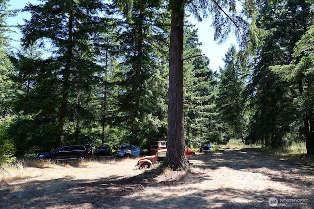 16615 Williams Ln SW, Rochester, WA 98579 - photo 3