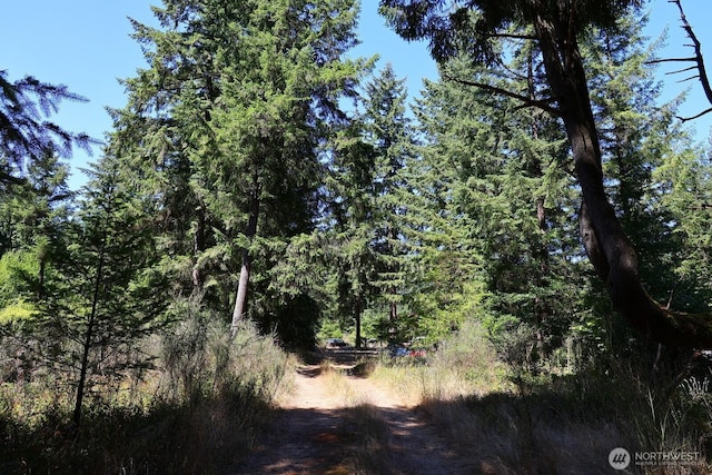 16615 Williams Ln SW, Rochester, WA 98579 - photo 4