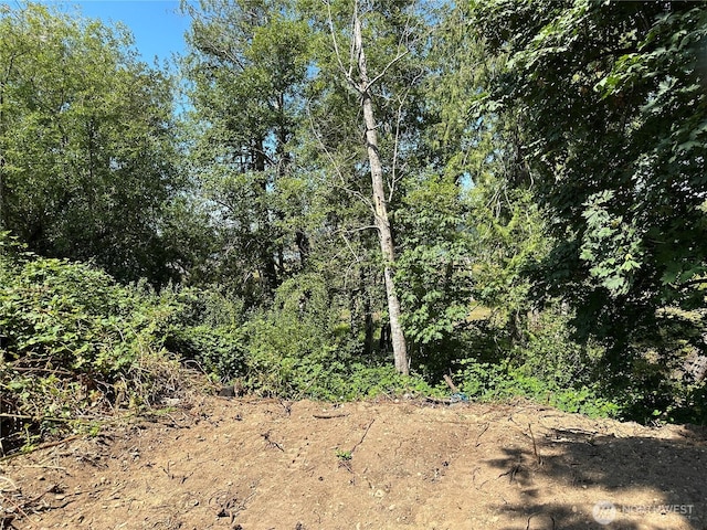 22481 NE State Route 3, Belfair, WA 98528 - photo 8