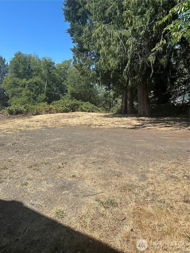 22481 NE State Route 3, Belfair, WA 98528 - photo 29
