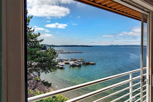 733 Lake St S Unit 305, Kirkland, WA 98033 - photo 7
