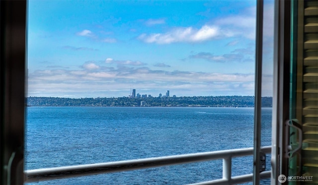 733 Lake St S Unit 305, Kirkland, WA 98033 - photo 8