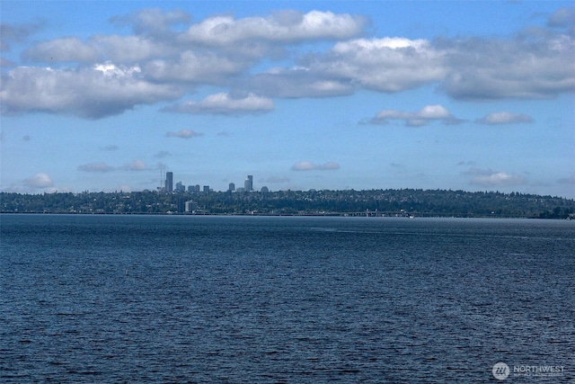 733 Lake St S Unit 305, Kirkland, WA 98033 - photo 13
