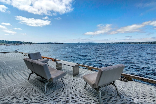733 Lake St S Unit 305, Kirkland, WA 98033 - photo 14