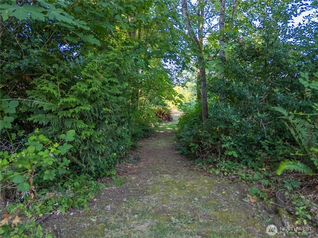 16621 188th Ave SE Lot 1, Renton, WA 98058 - photo 2