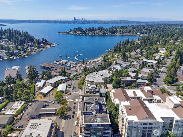 10000 Main St Unit 504, Bellevue, WA 98004 - photo 36