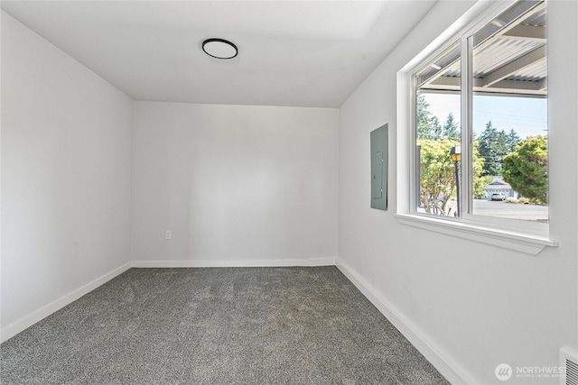 7403 Phillips Rd SW, Lakewood, WA 98498 - photo 16
