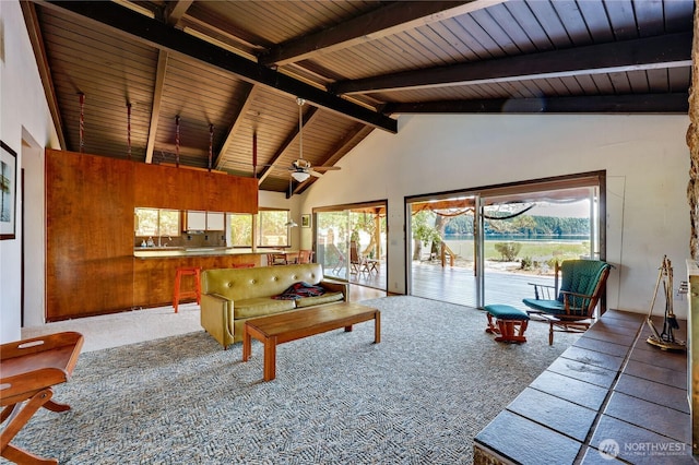184 Bee Mill Rd, Brinnon, WA 98320 - photo 4