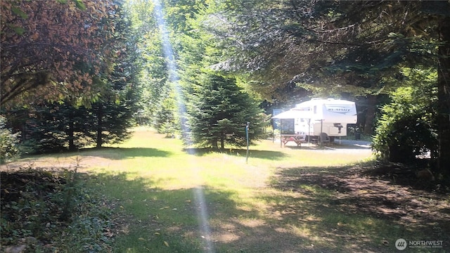 104 Rainbow Pl, Packwood, WA 98361 - photo 9