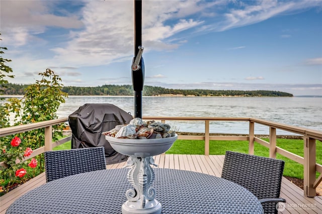 181 Hiller Dr, Port Hadlock, WA 98339 - photo 14