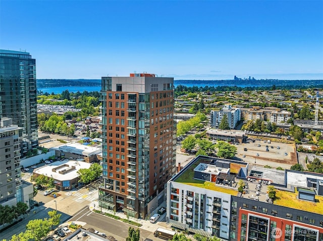 10232 NE 10th St Unit 509, Bellevue, WA 98004 - photo 30