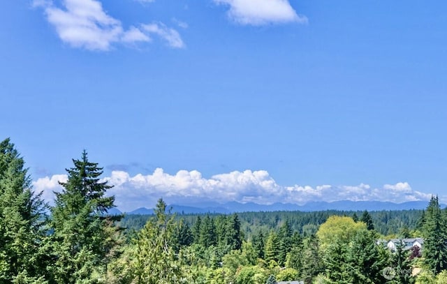 20145 Vikings Crest Loop NE Unit 3-204, Poulsbo, WA 98370 - photo 3
