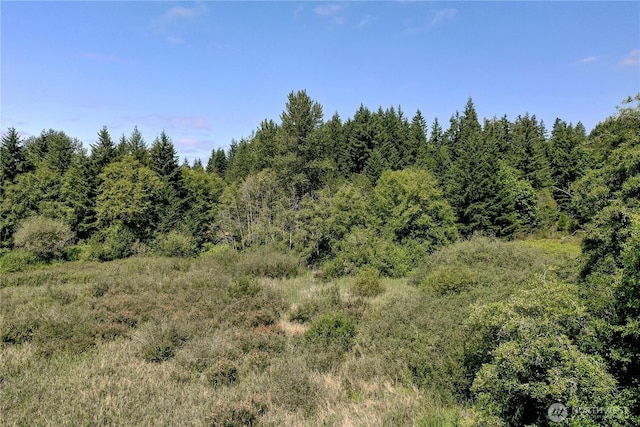 10268 Gertsch Rd SE, Port Orchard, WA 98367 - photo 39