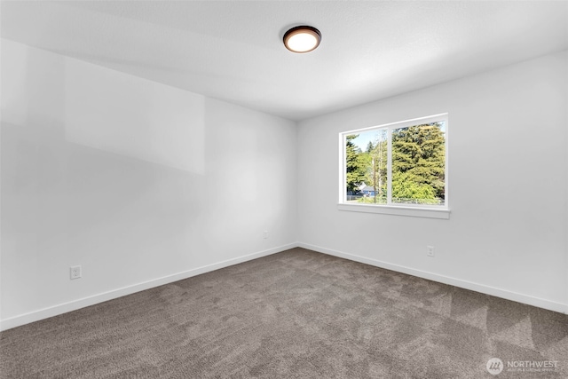 809 SW Front St, Winlock, WA 98596 - photo 18