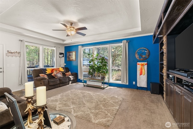 792 E Jensen Rd, Shelton, WA 98584 - photo 8