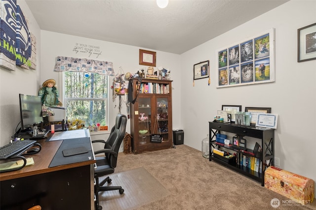 792 E Jensen Rd, Shelton, WA 98584 - photo 18