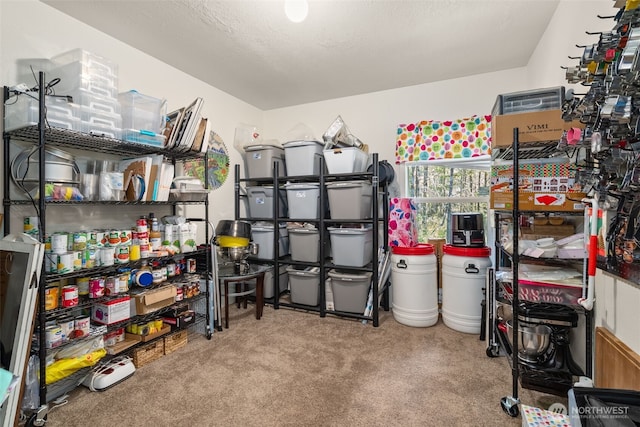 792 E Jensen Rd, Shelton, WA 98584 - photo 19