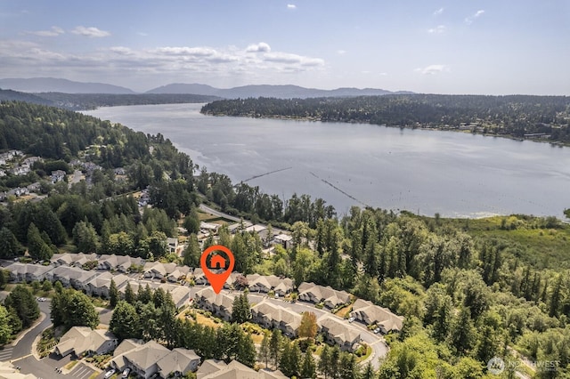 18636 NE 55th Way, Redmond, WA 98052 - photo 21