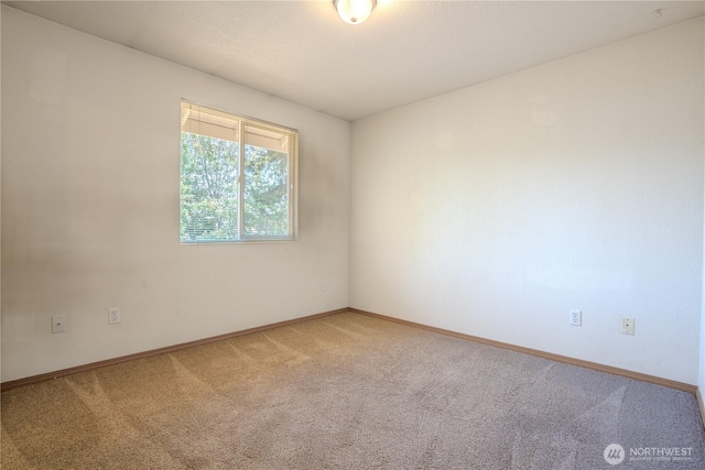 8626 Christa Dr NE, Lacey, WA 98516 - photo 15