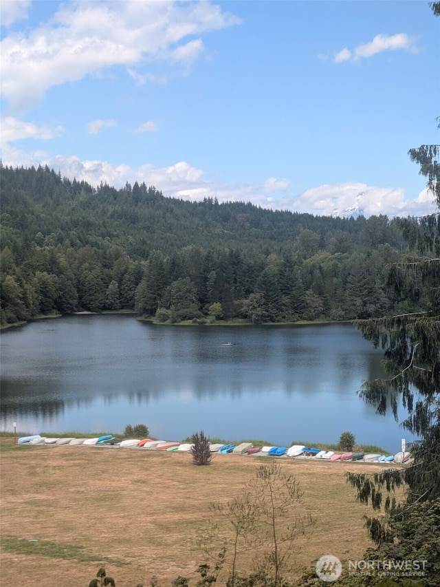 4366 Salish Trl Unit 1A40, Concrete, WA 98237 - photo 13