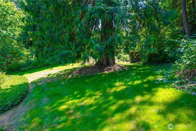 28511 SE Preston Way, Issaquah, WA 98027 - photo 17
