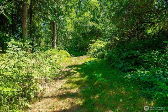 28511 SE Preston Way, Issaquah, WA 98027 - photo 18