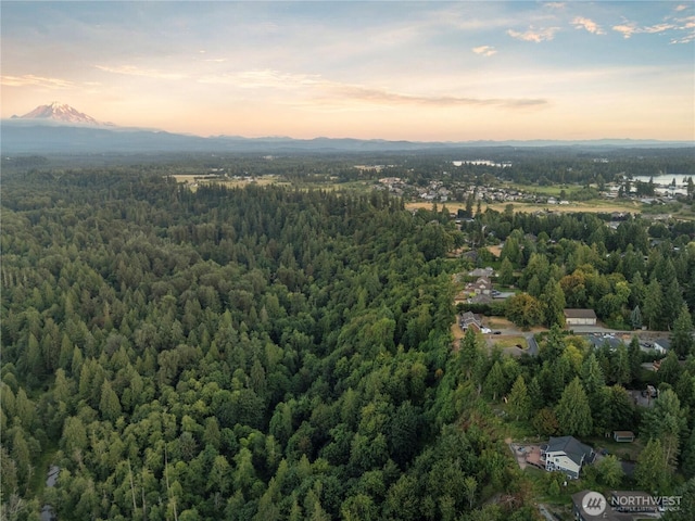 1809 217th Avenue Ct E, Lake Tapps, WA 98391 - photo 33