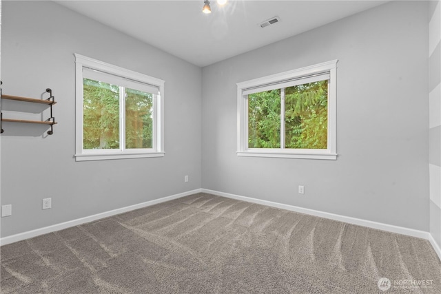 1809 217th Avenue Ct E, Lake Tapps, WA 98391 - photo 6