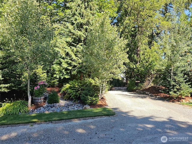 1809 217th Avenue Ct E, Lake Tapps, WA 98391 - photo 35