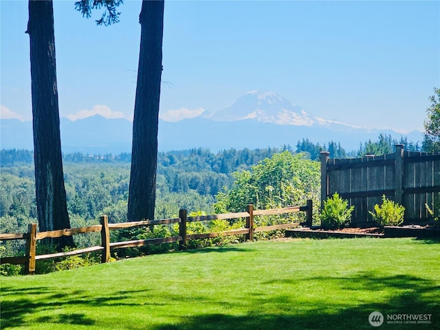 1809 217th Avenue Ct E, Lake Tapps, WA 98391 - photo 40