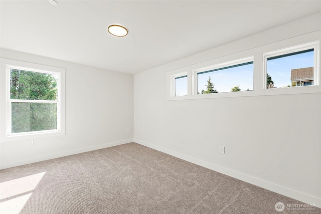 1238 9th St SW, Puyallup, WA 98371 - photo 28