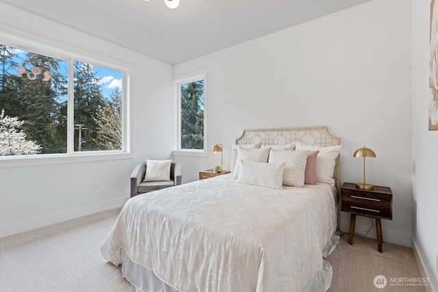 14 158th Pl NE, Bellevue, WA 98008 - photo 25