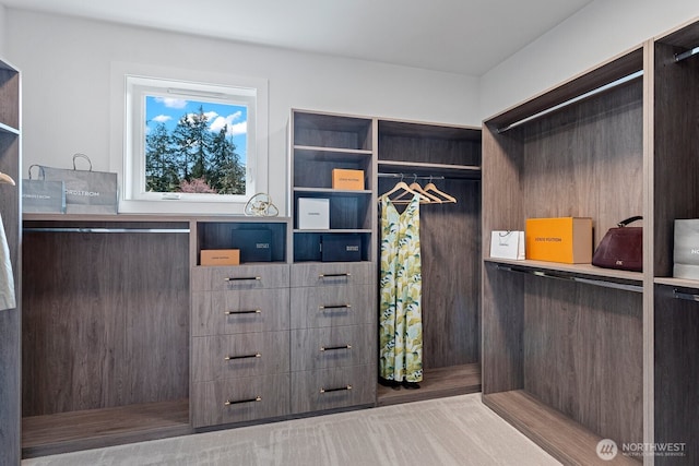 14 158th Pl NE, Bellevue, WA 98008 - photo 31