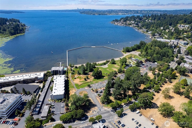 11920 98th Ave NE Unit 205, Kirkland, WA 98034 - photo 28