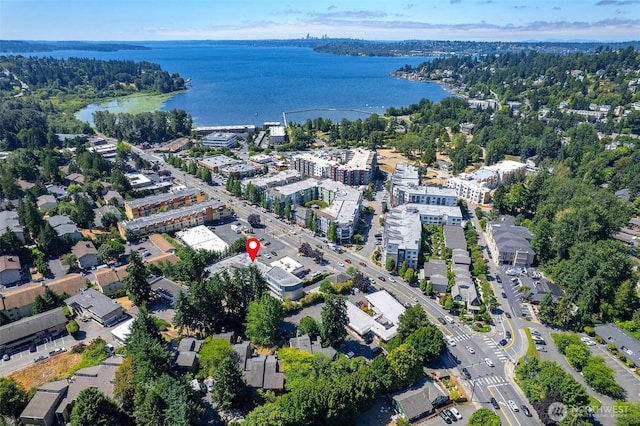 11920 98th Ave NE Unit 205, Kirkland, WA 98034 - photo 1