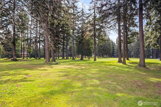 1478 159th Pl NE, Bellevue, WA 98008 - photo 25