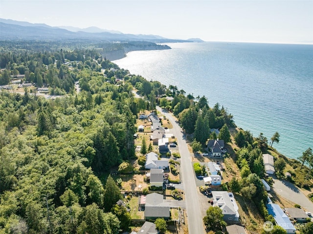 350 E Bluff Dr, Port Angeles, WA 98362 - photo 36