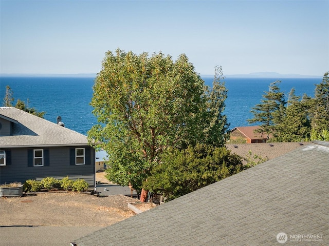 350 E Bluff Dr, Port Angeles, WA 98362 - photo 39