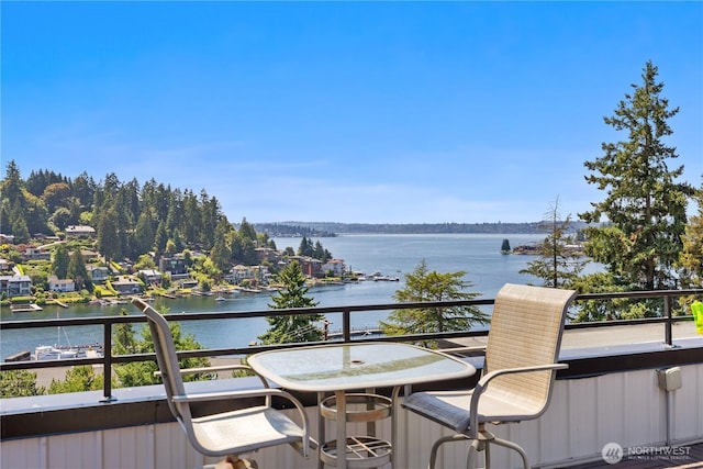 9909 NE 1st St Unit 402, Bellevue, WA 98004 - photo 26