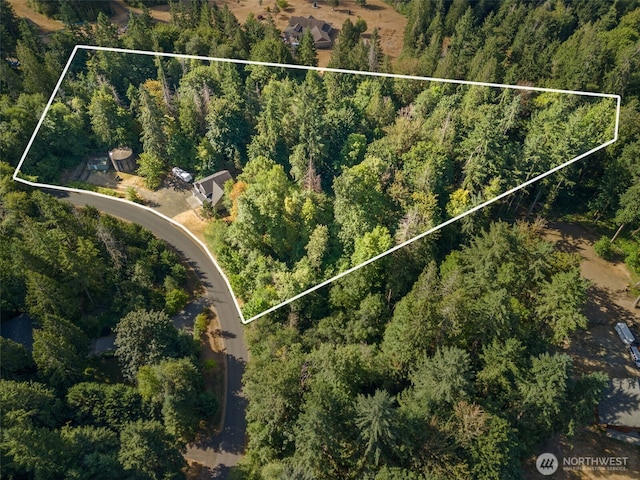 2141 107th Ln SE, Olympia, WA 98501 - photo 36