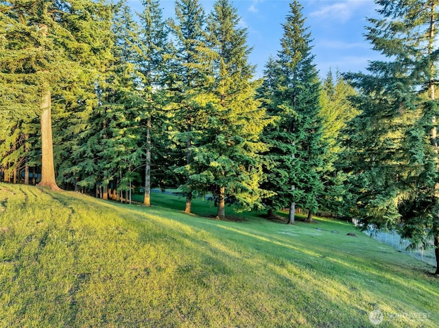 22016 NE 267th Ct, Battle Ground, WA 98604 - photo 38