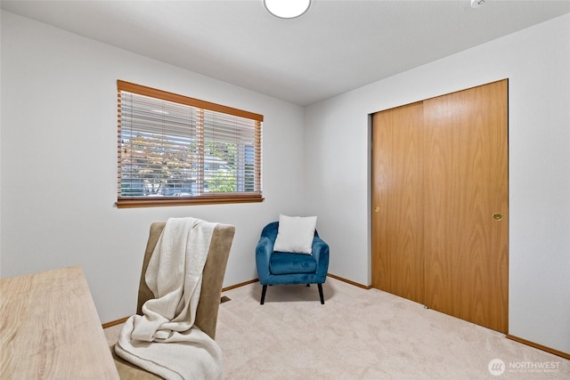 817 Ford Ave, Snohomish, WA 98290 - photo 12