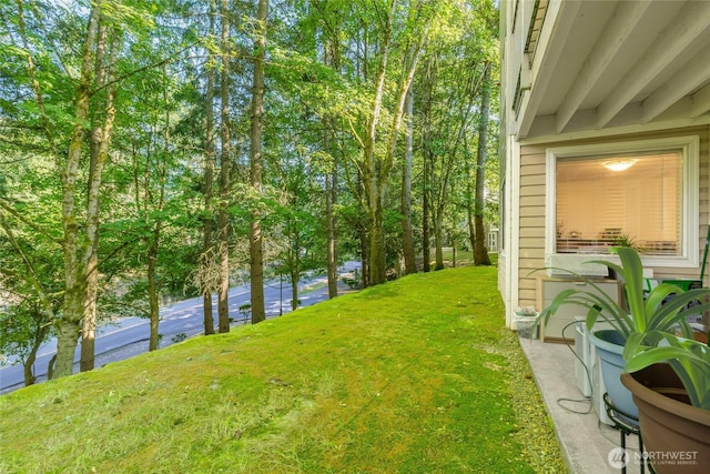 19230 Forest Park Dr NE Unit C110, Seattle, WA 98155 - photo 19
