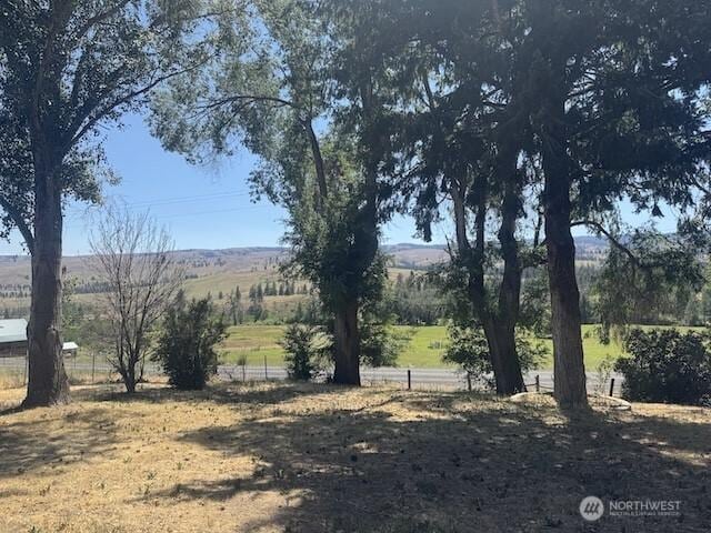 20541 N Wenas Rd, Selah, WA 98942 - photo 4