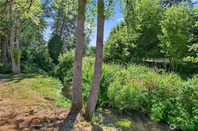 711 NE 6th St, Battle Ground, WA 98604 - photo 33