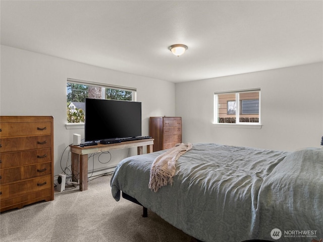 1455 SW Snively Ave, Chehalis, WA 98532 - photo 16