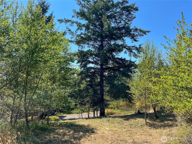121 Combs St, Port Townsend, WA 98368 - photo 1