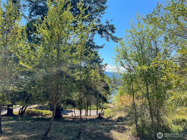 121 Combs St, Port Townsend, WA 98368 - photo 2