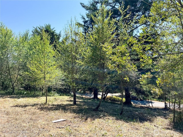 121 Combs St, Port Townsend, WA 98368 - photo 3